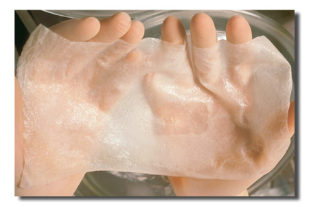 فريق طبي اردني يتمكن من تصنيع جلد بشري قابل للنقل والاستخدام للانسان