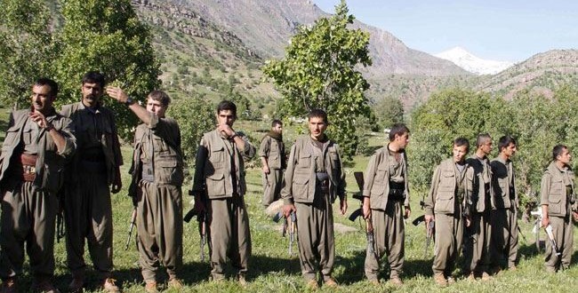 نائب كردي :نبارك الاتفاق بين تركيا وحزب العمال الكردي لانه سيعود بالنفع على العراق !