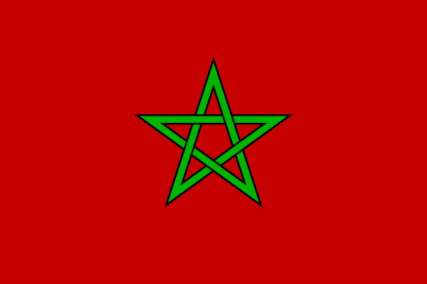 عشرات الحقوقيين المغاربة يتظاهرون ضد الحرب على سوريا