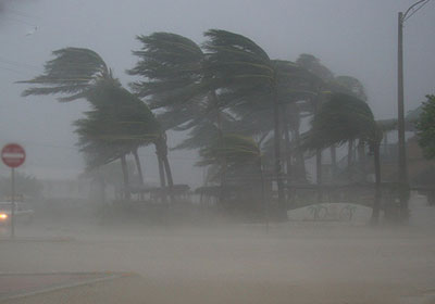 إعصار “هايان” يصل إلى فيتنام.. وعدد النازحين في الفلبين يتجاوز {650} ألفا