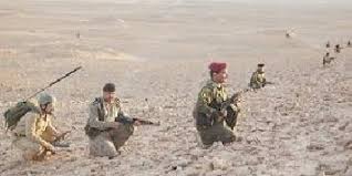 اشتباكات مسلحة بين الجيش وتنظيم القاعدة في وادي حوران غرب الانبار