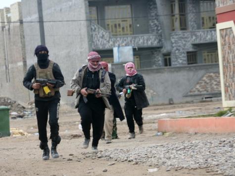 اشتباكات عنيفة بين القوات الامنية وعناصر داعش شرق الرمادي