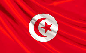 المجلس الوطني التأسيسي في تونس يصادق بالاغلبية على مشروع الدستور الجديد للبلاد