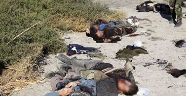 مقتل 4 عناصر من تنظيم القاعدة