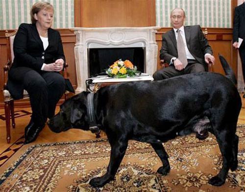 بوتن يهدد مريكل بكلبه