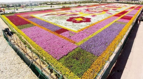 سجادة سعودية مصنوعة من 3 ملايين زهرة