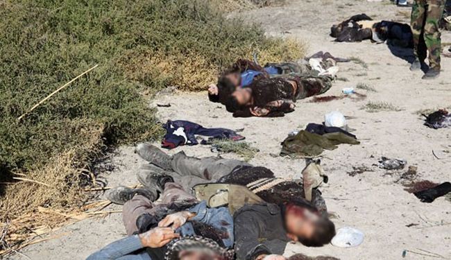 مقتل 15 مسلحا من عناصر القاعدة وسط الرمادي