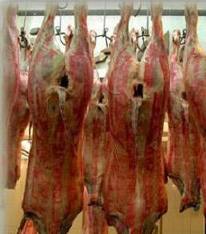 ضبط 600 كيلو من اللحوم منتهية الصلاحية في الشرقاط