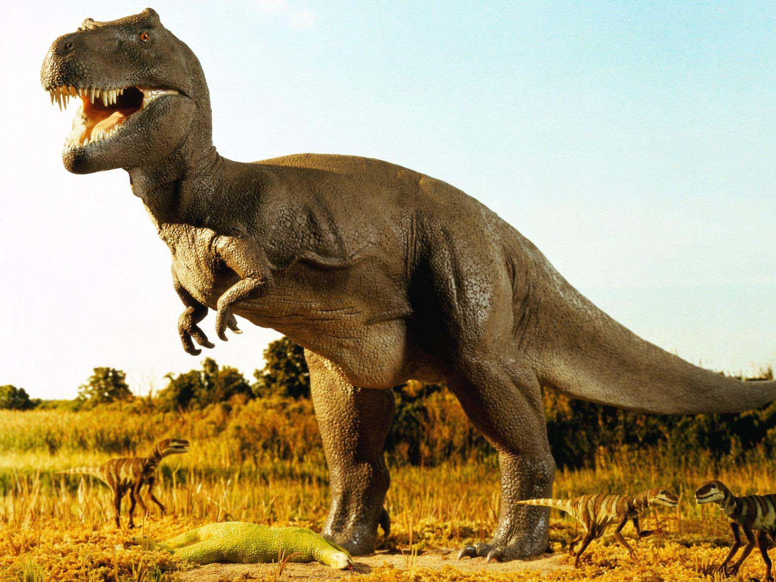 العثور على آثار أقدام ديناصورات تعود إلى مئة مليون سنة في الصين