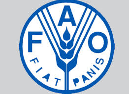 فاو:الاستثمار في نظم الزراعة والغذاء