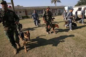 محافظة بغداد: وصول الدفعة الاولى من الكلاب البوليسية !