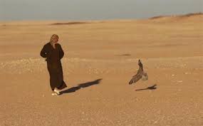 منح اجازات الصيد للمواطنين العرب في صحراء محافظة المثنى