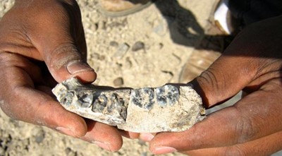اثيوبيا:العثورعلى عظام بشرية تعود الى 2.8 مليون عام
