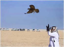 اطلاق سراح خدم الصيادين القطريين