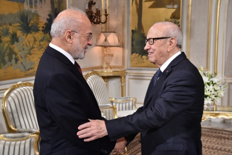 الجعفري يلتقي الرئيس التونسي