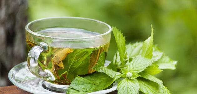 علماء:الشاي الأخضر يخفف من اعراض التهاب المفاصل الروماتويدي