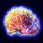 دراسة: يمكن اعادة وظائف الحركة والكلام لمرضى السكتة الدماغية