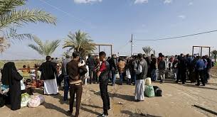 مجلس الانبار:مليشيا الحشد تطلق سراح 605 مدنيا من اهالي الفلوجة