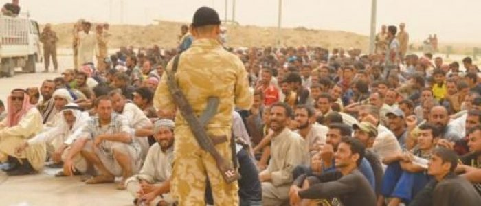 اطلاق سراح 800 نازح من اهالي الفلوجة لعدم  ارتباطهم مع داعش
