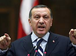 أردوغان: سنقاتل المسلحين الاكراد كما نقاتل داعش