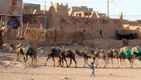 العيش”رحلا” في المغرب