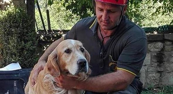 إنقاذ كلب بعد 10 أيام من زلزال إيطاليا