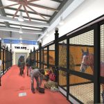 افتتاح صالة للحيوانات في مطار جون كينيدي
