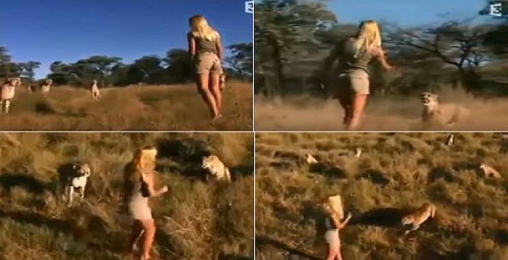 “ناشيونال جيوجرافيك” تشتري فيديو لفتاة تحاصرها النمور بمليون دولار