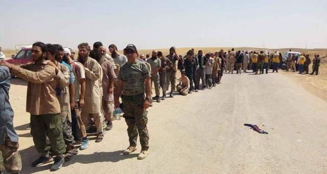 المئات من ارهابيي “داعش” يسلمون أنفسهم للبيشمركة قرب تلعفر