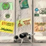 صحيفة:تأجيل الانتخابات العراقية لمدة 6 أشهر