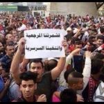 بيوت العنكبوت