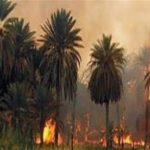 وزارة الداخلية السبب .. الحرائق دمار لاقتصاد البلاد وافلاس العباد؟