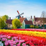 قرية هولندية تعاني من كثرة السياح