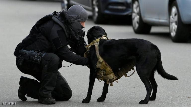 كلب الشرطة الهولندية يلفت الأنظار