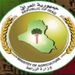 وزارعة الزراعة:المنافذ الحدودية لاتحترم قرارات الحكومة