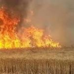 بالوثيقة..مساحات الحرائق التي طالت المزارع العراقية وعبد المهدي يقول أنها بسبب خلافات شخصية!!