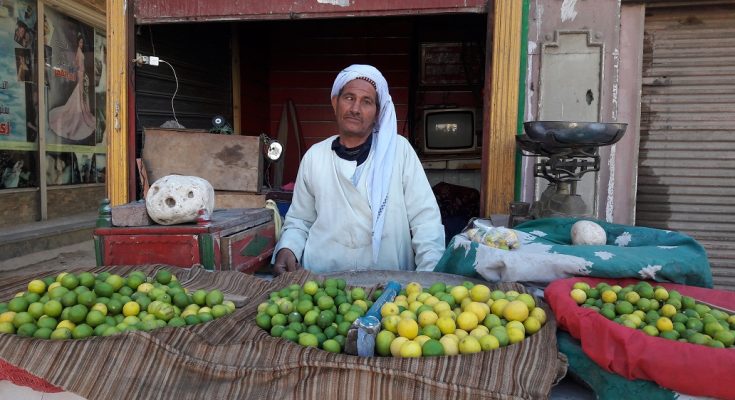 “جنون الليمون” في مصر