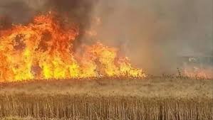 الشياطين تحرق مزارع العراق