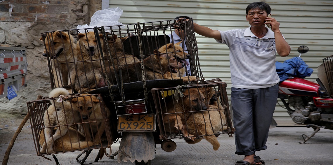 بكين تحظر سكانها من تناول الحيوانات البرية