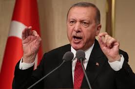 أردوعان:عزم أنقرة على حسم حملاتها العسكرية في سوريا والعراق وليبيا