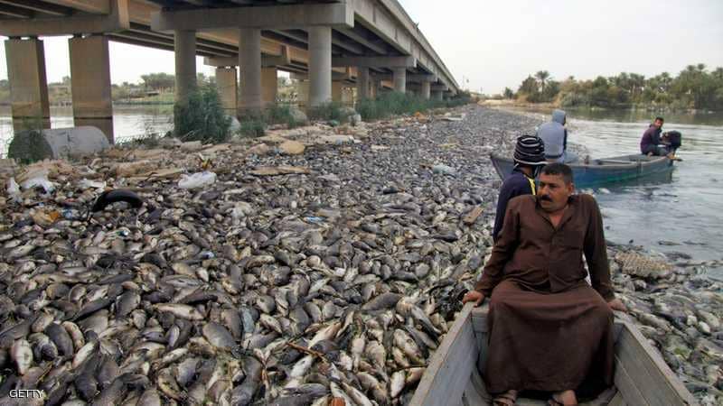 الزراعة النيابية تطالب الحكومة بحماية الثروة السمكية من التخريب الإيراني