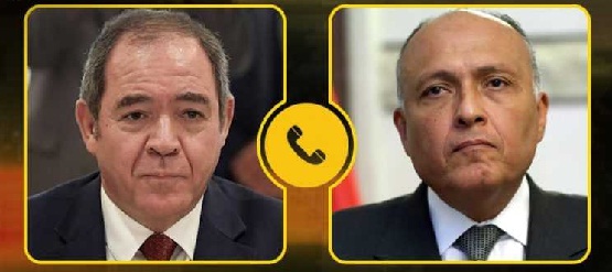 تنسيق مصري جزائري لبحث القضايا المشتركة بين البلدين