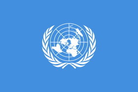 الأمم المتحدة تدعو الحكومة إلى إدراج جريمة الاختفاء القسري في التشريعات الجنائية