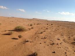 وزارة الموارد المائية تدعو إلى استثمار الصحراء