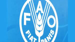 العراق يستضيف المؤتمر الإقليمي وشمال إفريقيا لمنظمة (FAO)