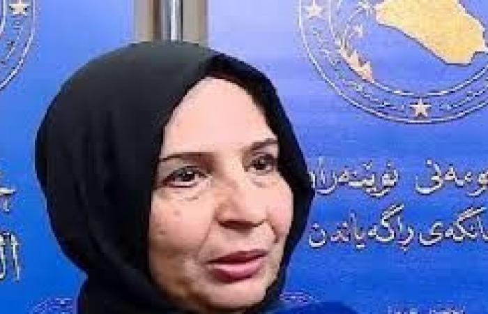 الاقتصاد النيابية:استجواب وزير المالية ومحافظ البنك المركزي مازال قائما