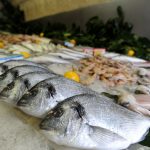 العراق يستورد سمك”السلمون”من تركيا