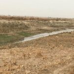 عجز بمحصول الحنطة بحجم (مليوني طن) بسبب قطع المياه عن العراق من قبل إيران وتركيا