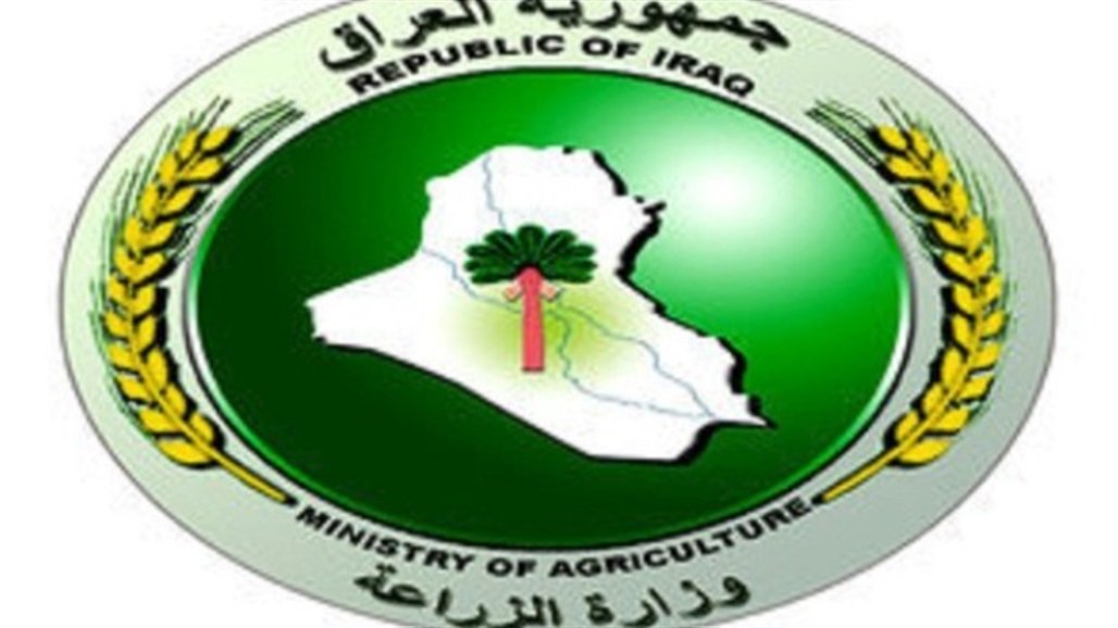وزارة الزراعة:تصدير التمور العراقية إلى أكثر من عشرة دول