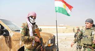 سياسي شبكي يدعو دمج البيشمركة مع الجيش العراقي